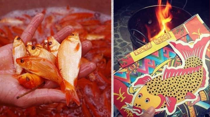 Thay vì chọn mua cá chép sống, chúng ta bắt đầu mua cá chép giấy