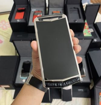 Aster P Black Alligator New