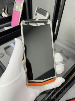 Aster P Dawning Orange Calf New