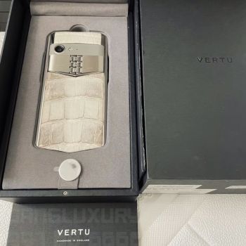 Aster P Rococo Himalaya Alligator New